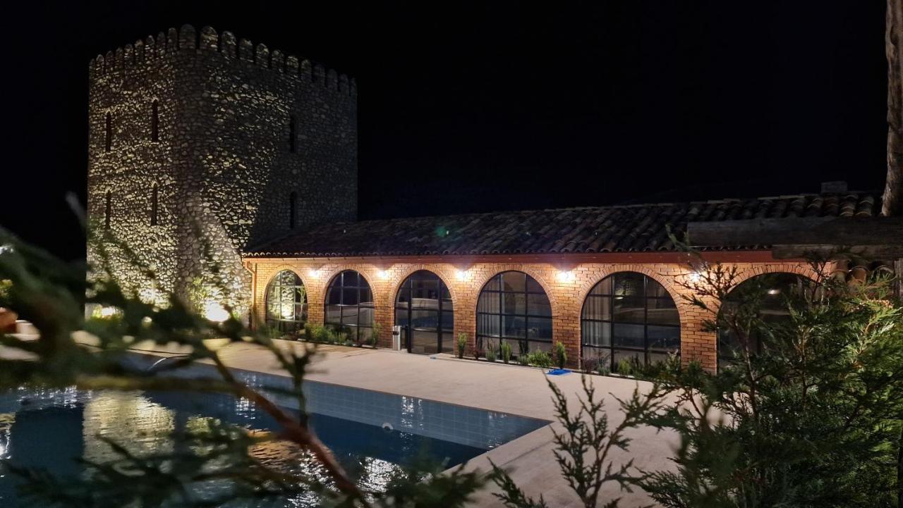 Giorgi Ushikishvilis Chateau-Marani Akhmeta Eksteriør billede